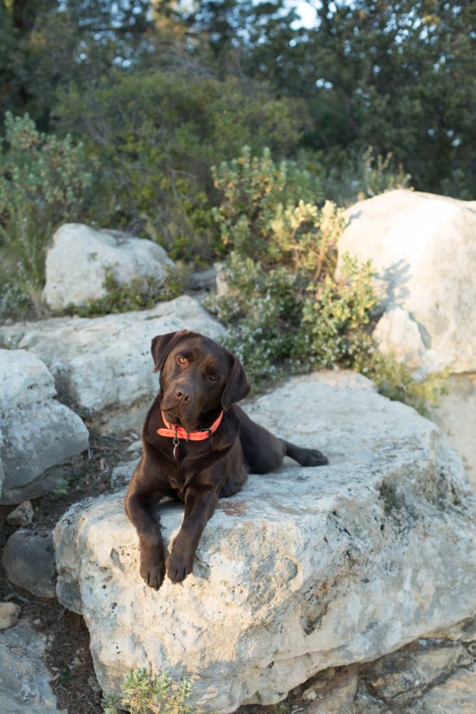 photo+grossesse+nature+aix+en+provence+soleil+marseille+photographe+thomas+paulet (1)